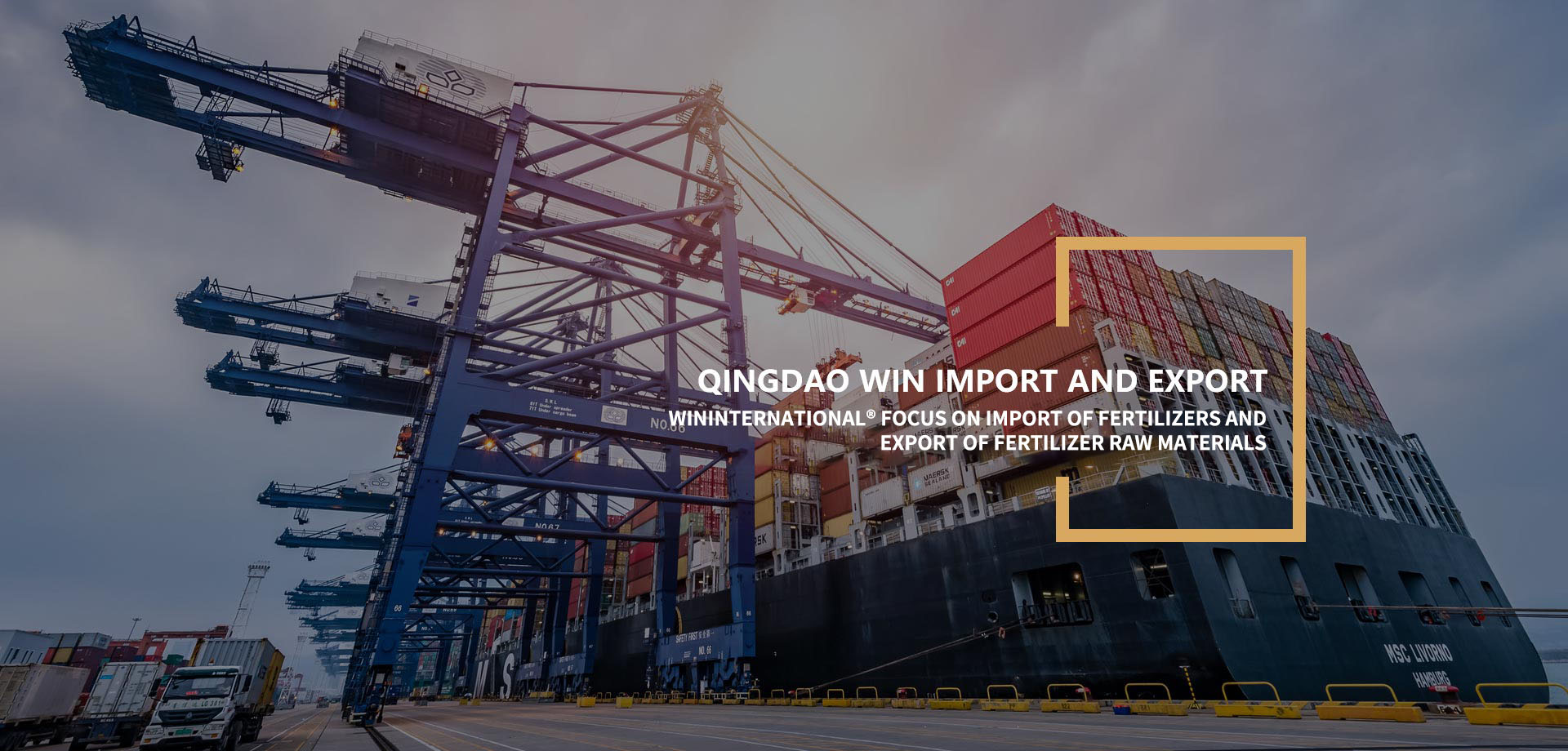 Qingdao Win Import and Export Co., Ltd.